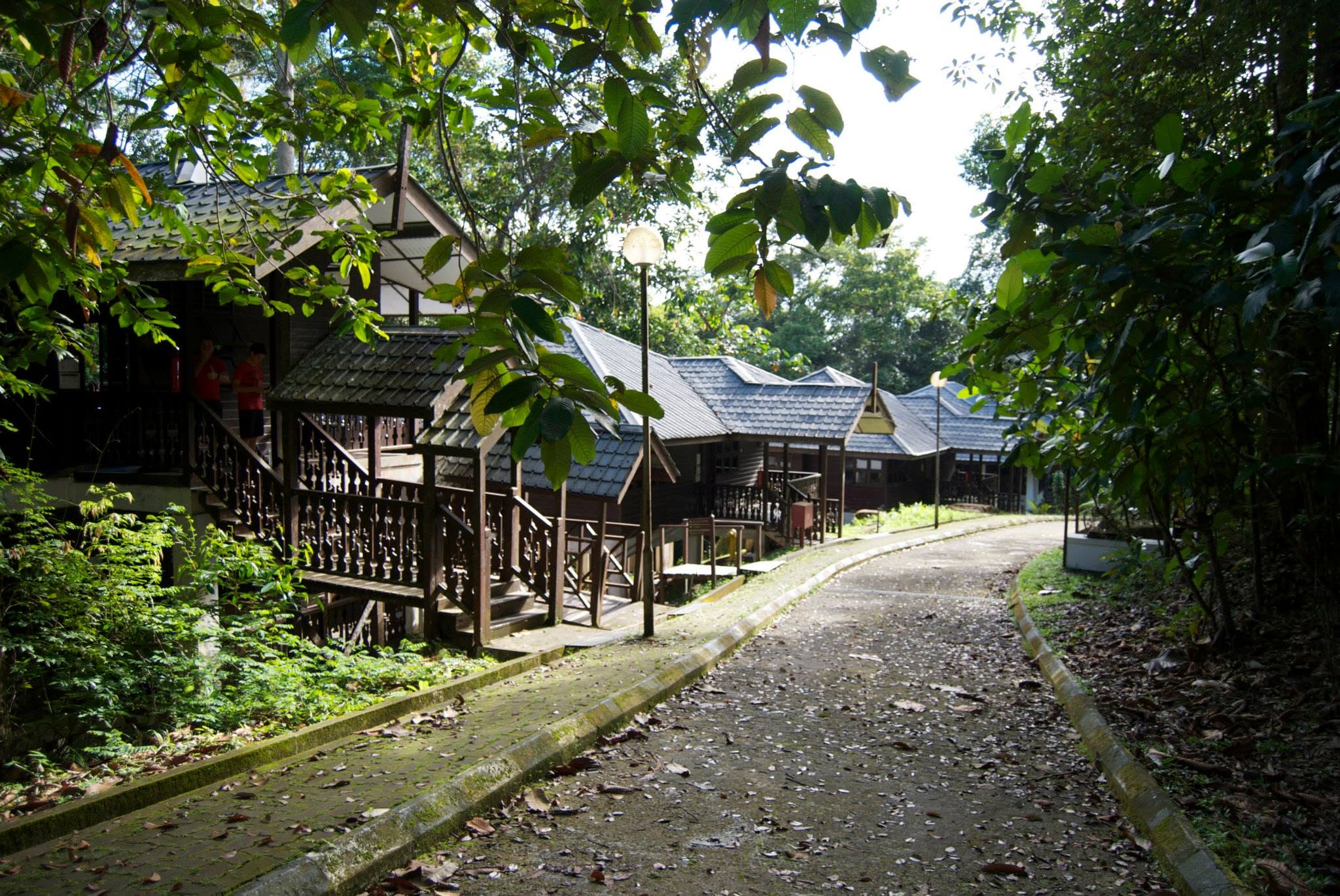 Danum Valley Field Centre — Borneo wildlife, book, free download, jungle tour, Danum Valley Field Centre tour, Danum Valley Field Centre trip