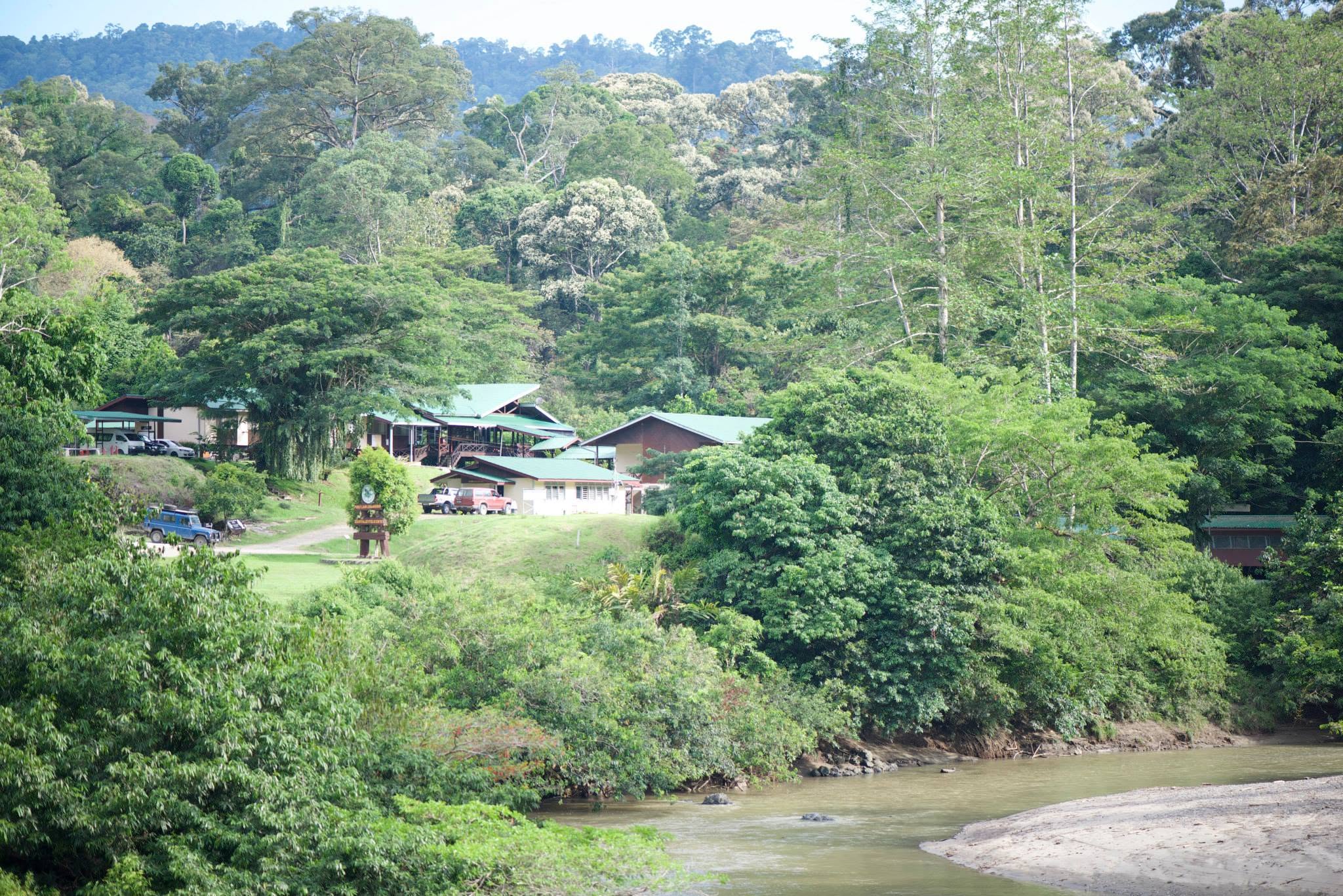 Danum Valley Field Centre — Borneo wildlife, book, free download, jungle tour, Danum Valley Field Centre tour, Danum Valley Field Centre trip