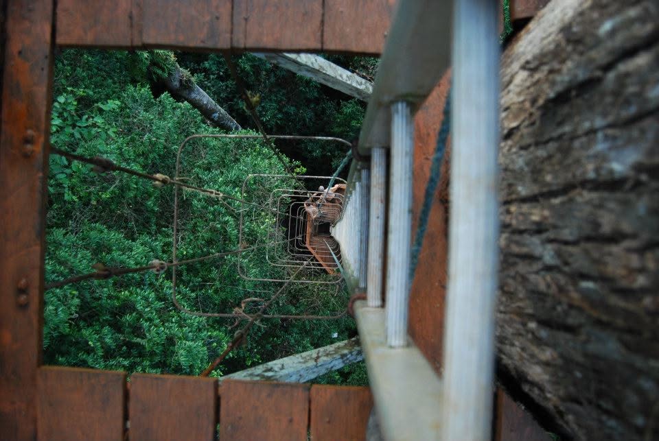 Danum Valley Field Centre — Borneo wildlife, book, free download, jungle tour, Danum Valley Field Centre tour, Danum Valley Field Centre trip