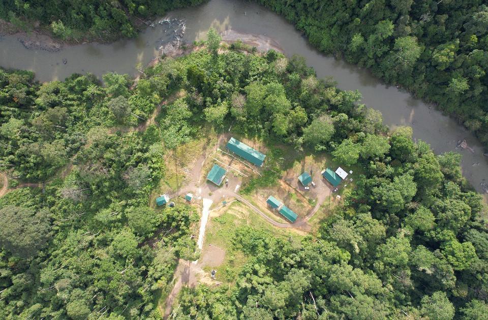 Langom — Borneo wildlife, book, free download, jungle tour, Langom tour, Langom trip