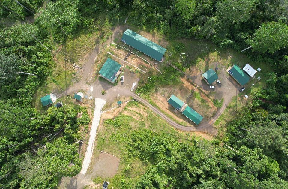 Langom — Borneo wildlife, book, free download, jungle tour, Langom tour, Langom trip