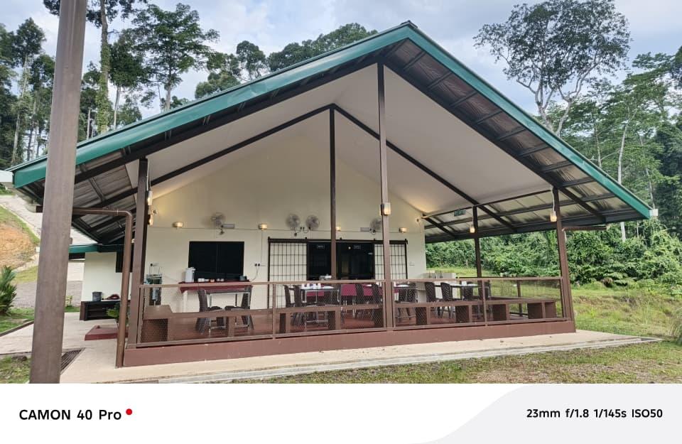 Langom — Borneo wildlife, book, free download, jungle tour, Langom tour, Langom trip