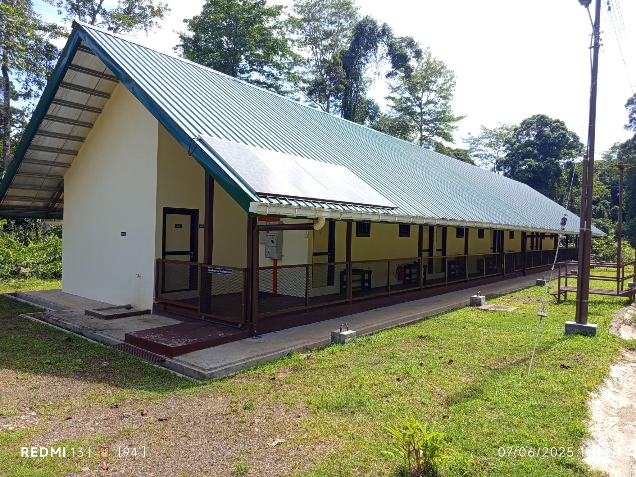 Langom — Borneo wildlife, book, free download, jungle tour, Langom tour, Langom trip