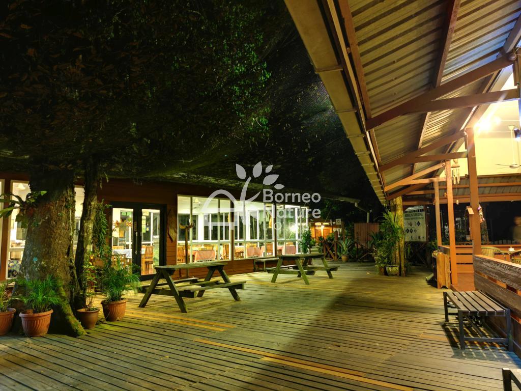 Borneo Nature Lodge — Borneo wildlife, book, free download, jungle tour, Borneo Nature Lodge tour, Borneo Nature Lodge trip