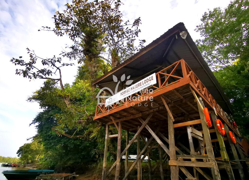 Borneo Nature Lodge — Borneo wildlife, book, free download, jungle tour, Borneo Nature Lodge tour, Borneo Nature Lodge trip