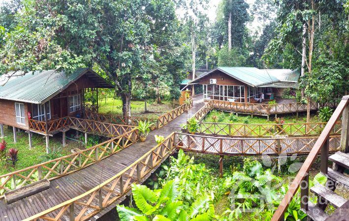 Borneo Nature Lodge — Borneo wildlife, book, free download, jungle tour, Borneo Nature Lodge tour, Borneo Nature Lodge trip
