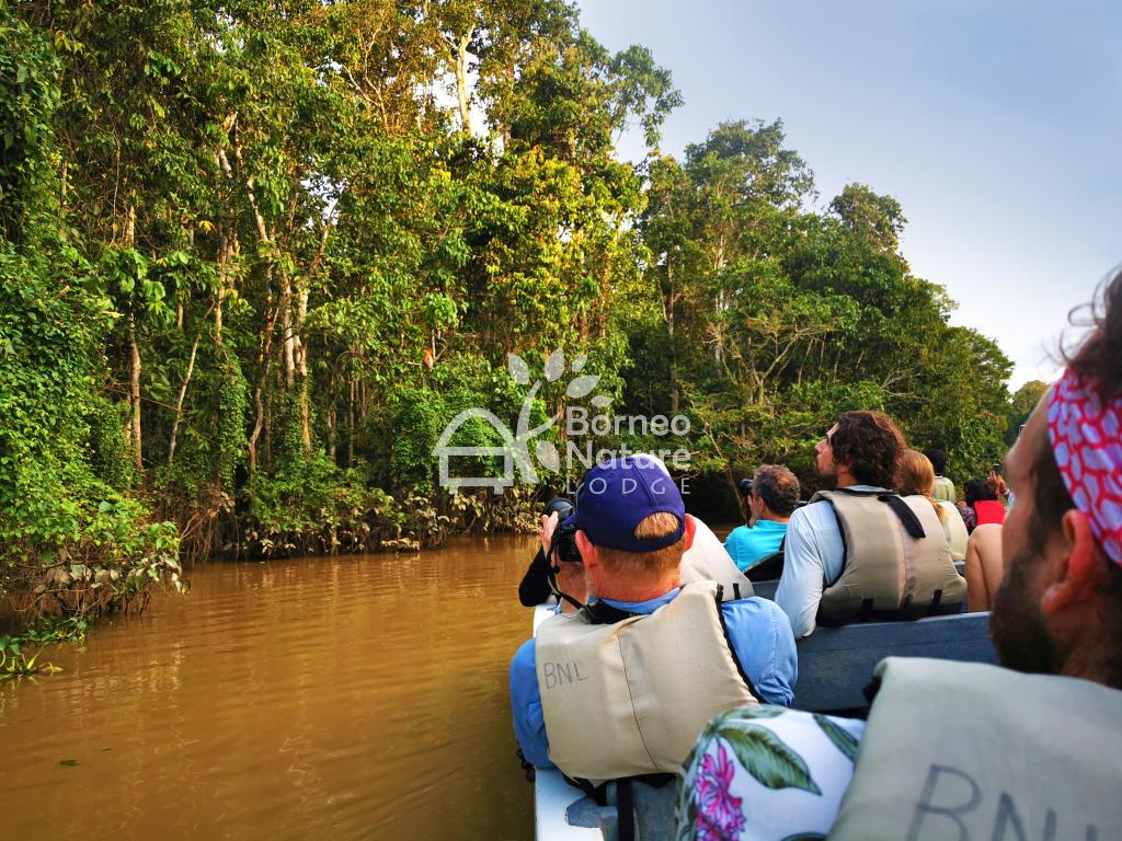Borneo Nature Lodge — Borneo wildlife, book, free download, jungle tour, Borneo Nature Lodge tour, Borneo Nature Lodge trip