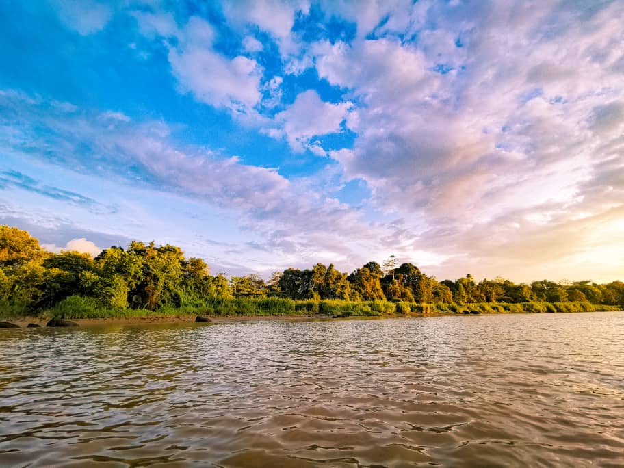 Kinabatangan Wetlands Resort — Borneo wildlife, book, free download, jungle tour, Kinabatangan Wetlands Resort tour, Kinabatangan Wetlands Resort trip