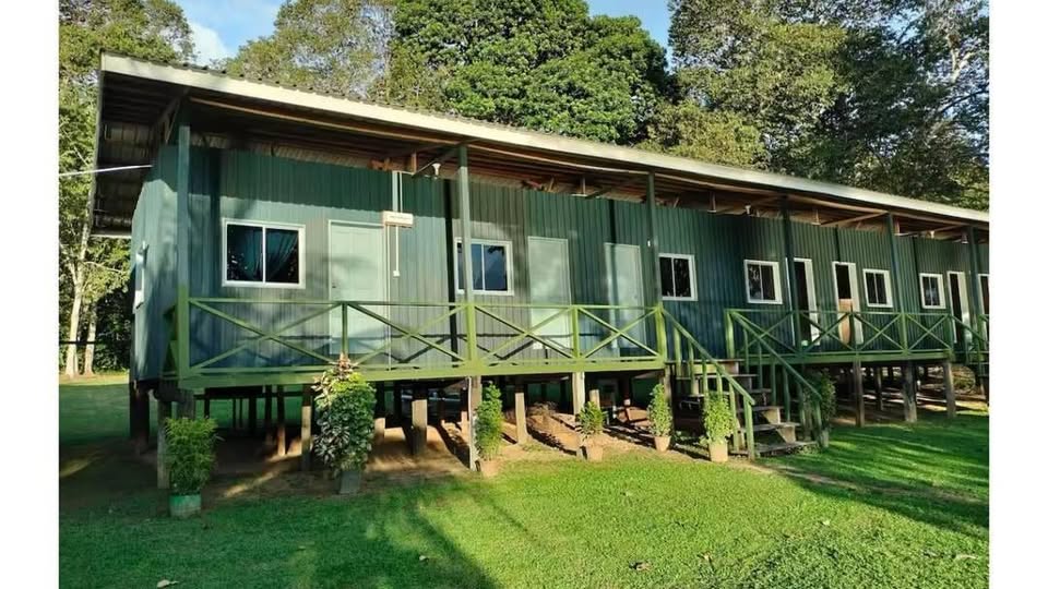 Osman's Homestay — Borneo wildlife, book, free download, jungle tour, Osman's Homestay tour, Osman's Homestay trip