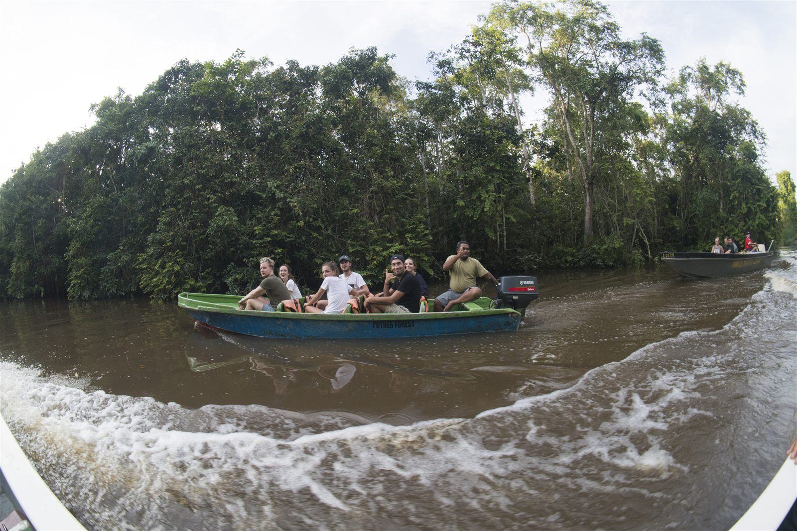 Osman's Homestay — Borneo wildlife, book, free download, jungle tour, Osman's Homestay tour, Osman's Homestay trip