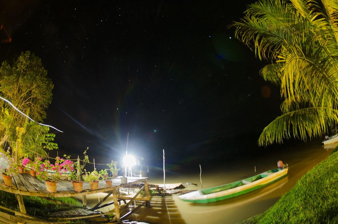 Osman's Homestay — Borneo wildlife, book, free download, jungle tour, Osman's Homestay tour, Osman's Homestay trip