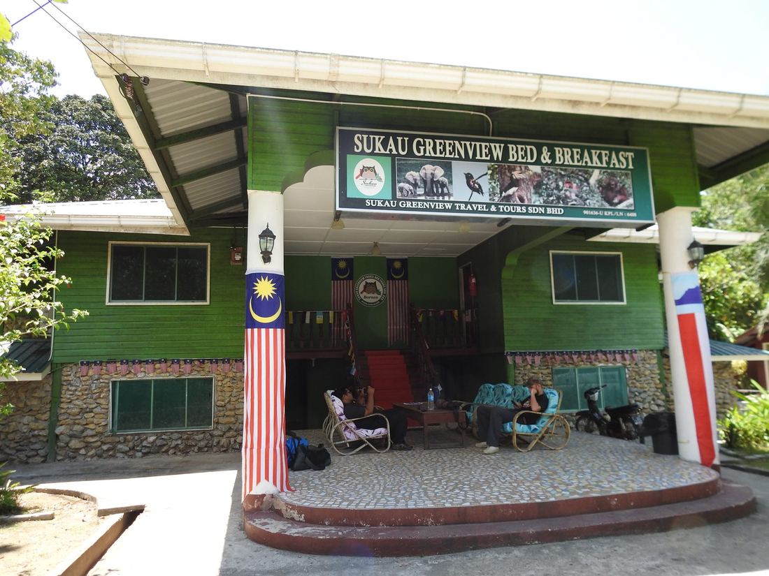 Sukau Greenview — Borneo wildlife, book, free download, jungle tour, Sukau Greenview tour, Sukau Greenview trip