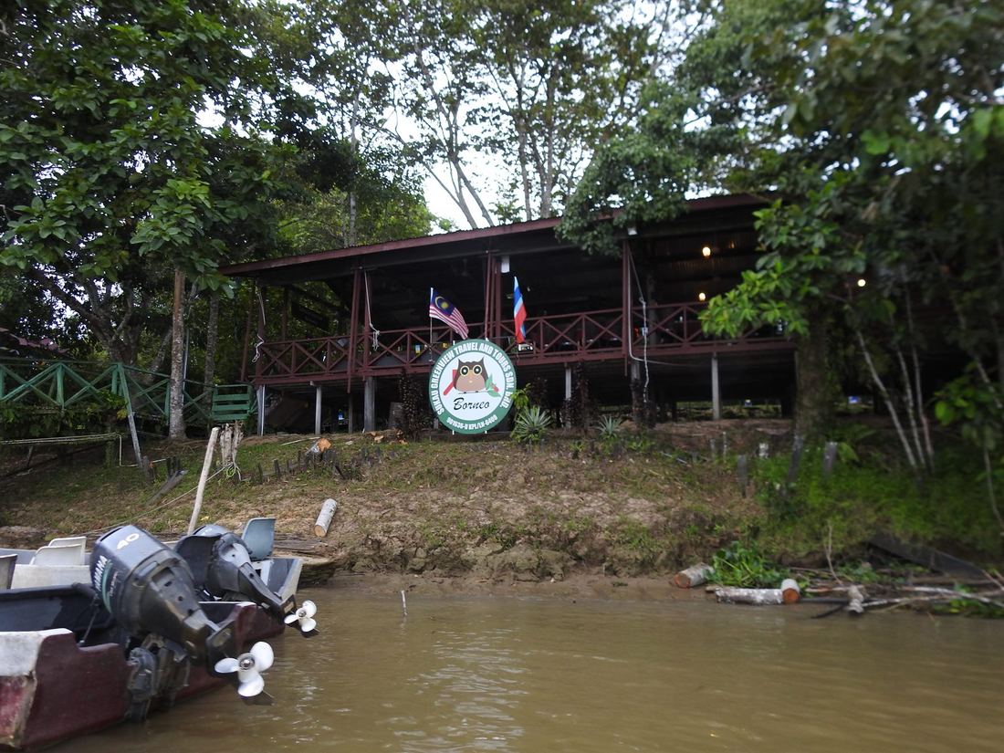 Sukau Greenview — Borneo wildlife, book, free download, jungle tour, Sukau Greenview tour, Sukau Greenview trip