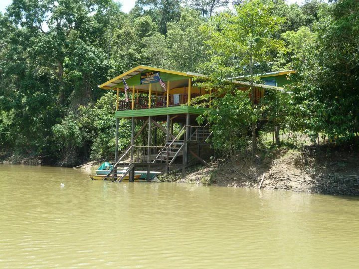 Tanjung Bulat Jungle Camp — Borneo wildlife, book, free download, jungle tour, Tanjung Bulat Jungle Camp tour, Tanjung Bulat Jungle Camp trip