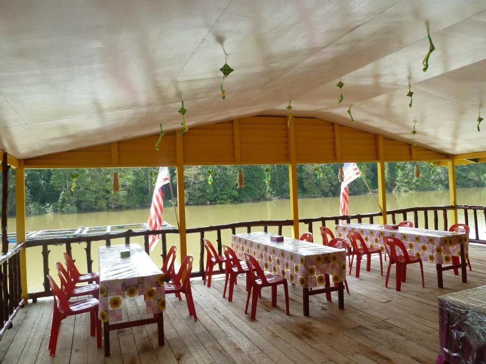 Tanjung Bulat Jungle Camp — Borneo wildlife, book, free download, jungle tour, Tanjung Bulat Jungle Camp tour, Tanjung Bulat Jungle Camp trip