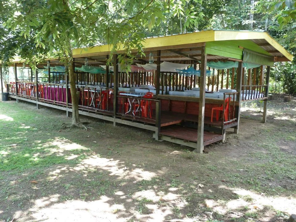 Tanjung Bulat Jungle Camp — Borneo wildlife, book, free download, jungle tour, Tanjung Bulat Jungle Camp tour, Tanjung Bulat Jungle Camp trip