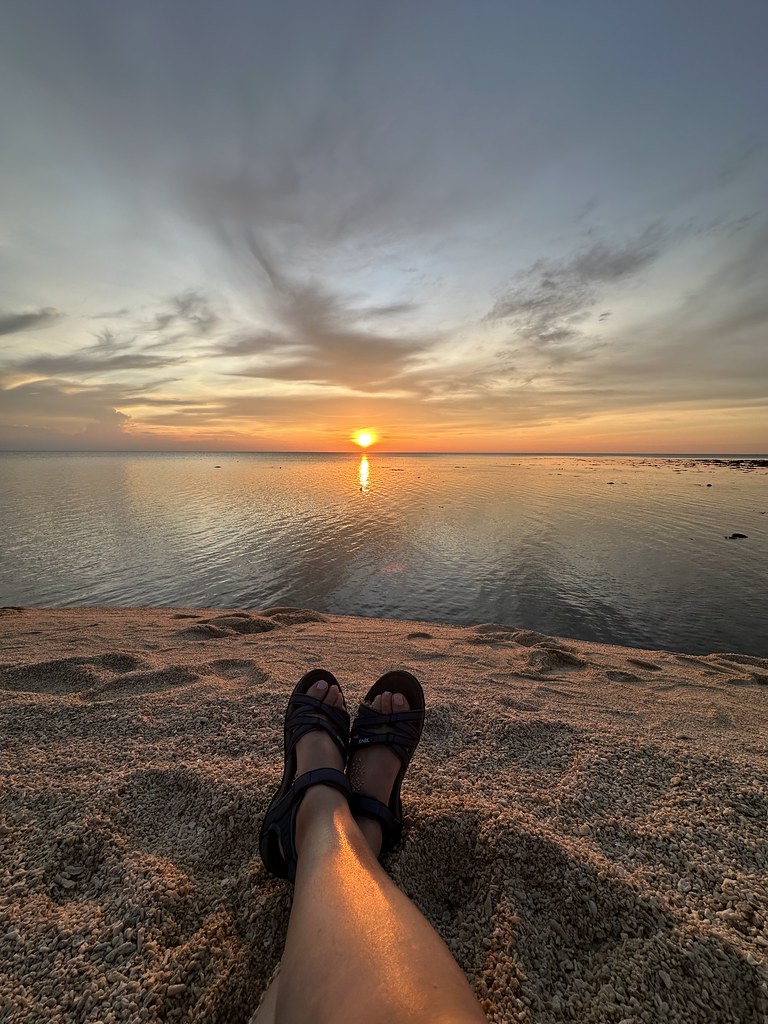 Selingan Island (Turtle Islands) — Borneo wildlife, book, free download, jungle tour, Selingan Island (Turtle Islands) tour, Selingan Island (Turtle Islands) trip