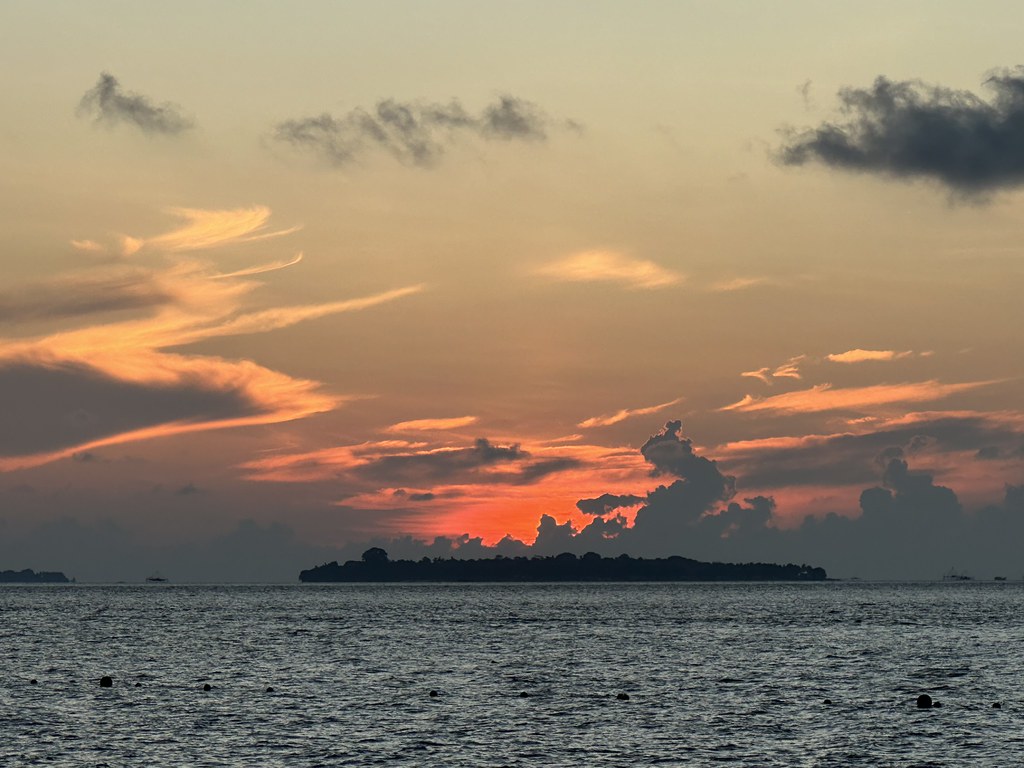 Selingan Island (Turtle Islands) — Borneo wildlife, book, free download, jungle tour, Selingan Island (Turtle Islands) tour, Selingan Island (Turtle Islands) trip