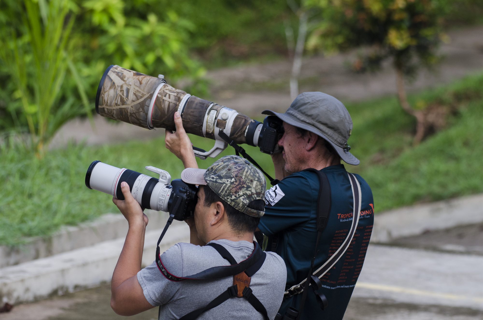 Wildlife photographers with telephoto lenses