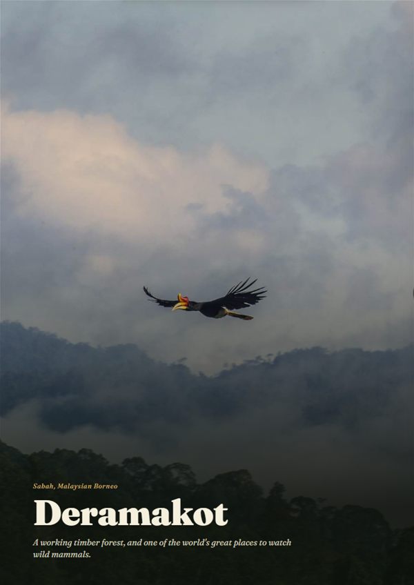 Cover of The Deramakot Book