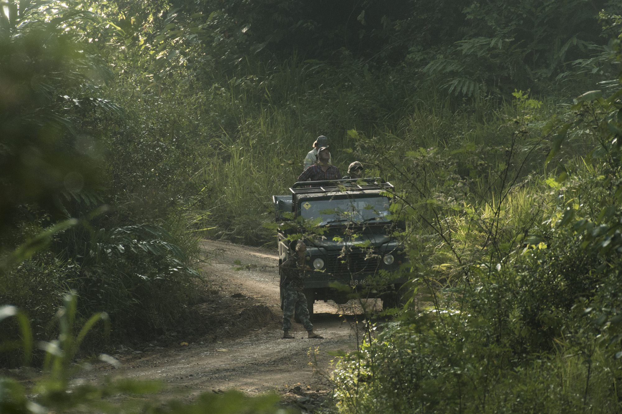 Safari vehicle on a forest track