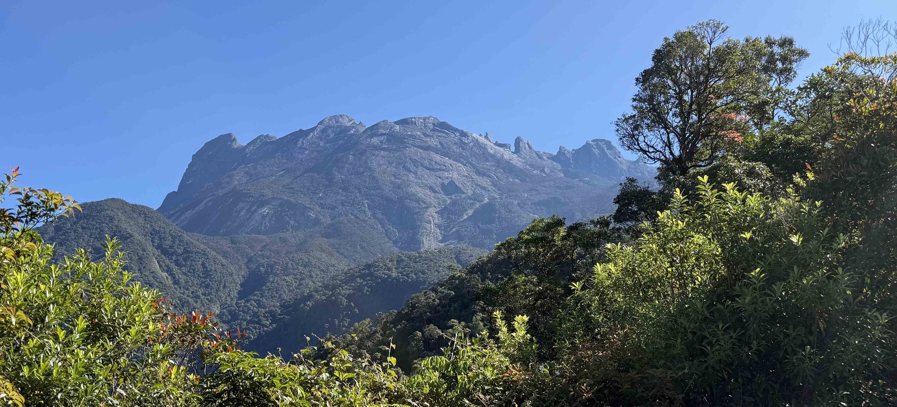 Mount Kinabalu rising above forested ridges under a clear blue sky