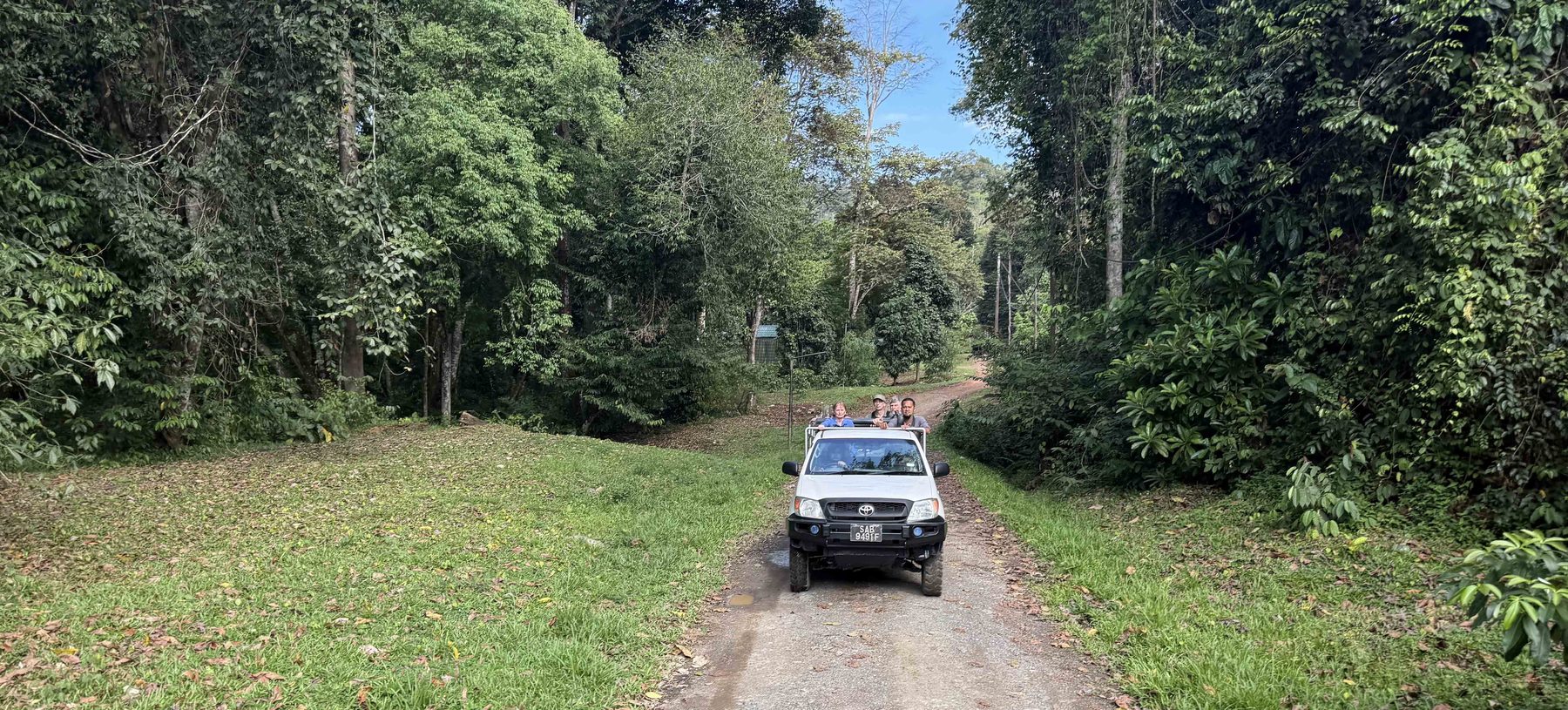 A safari vehicle on a forest track at Tabin Wildlife Reserve