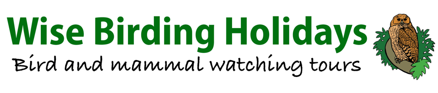 Wise Birding Holidays logo