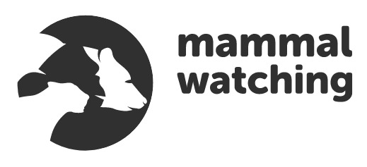 mammalwatching.com logo