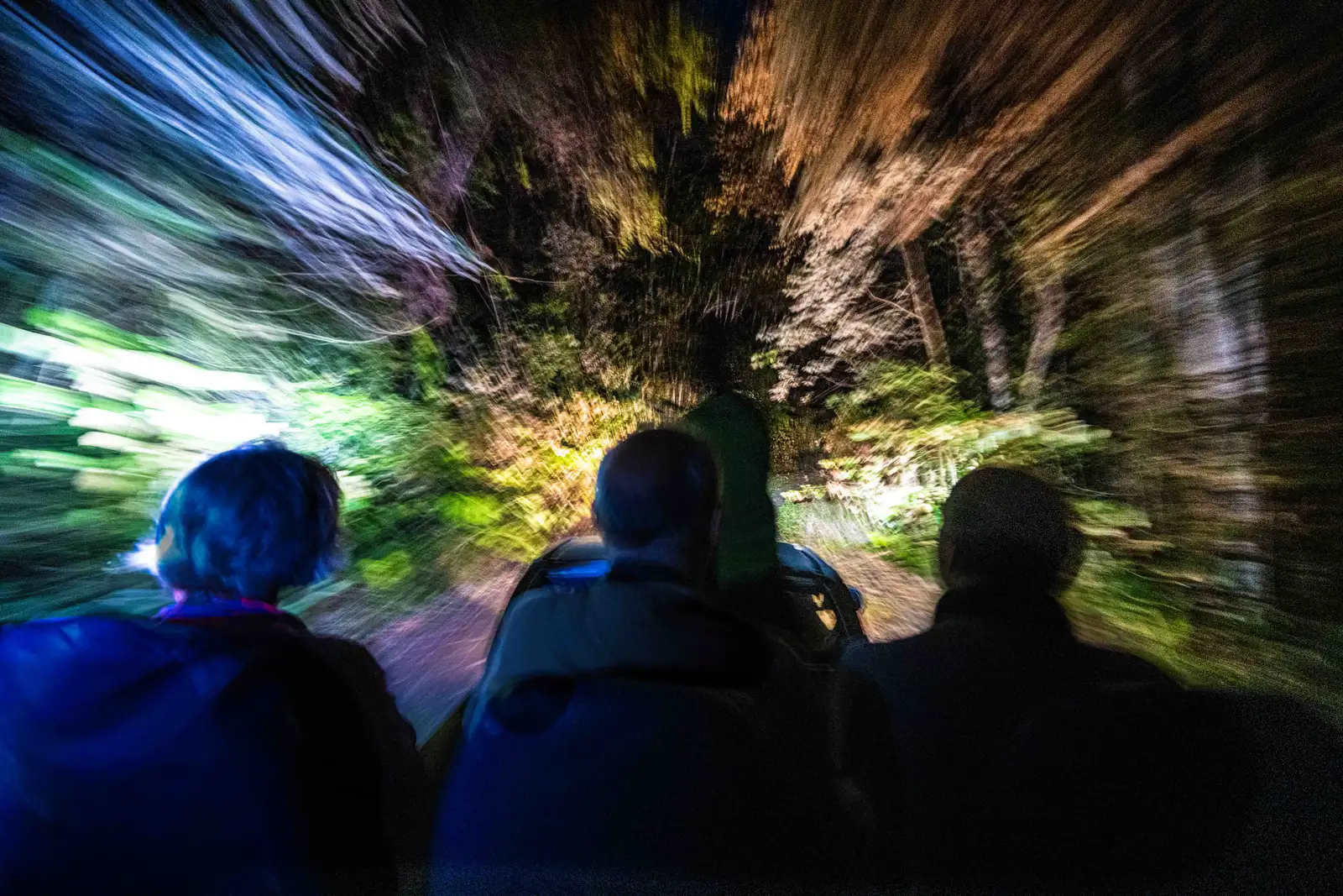 Night drive by pickup truck at Deramakot Forest Reserve